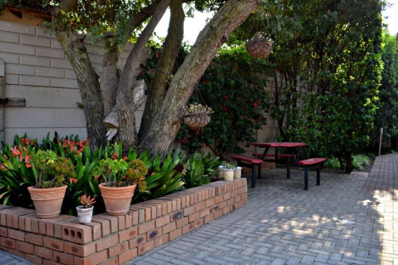 Bokmakierie Gastehuis Emalahleni Pty Ltd Εξωτερικό φωτογραφία